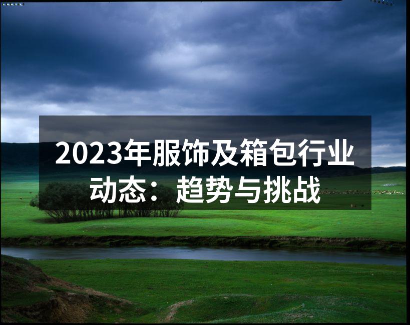 2023年服饰及箱包行业动态：趋势与挑战